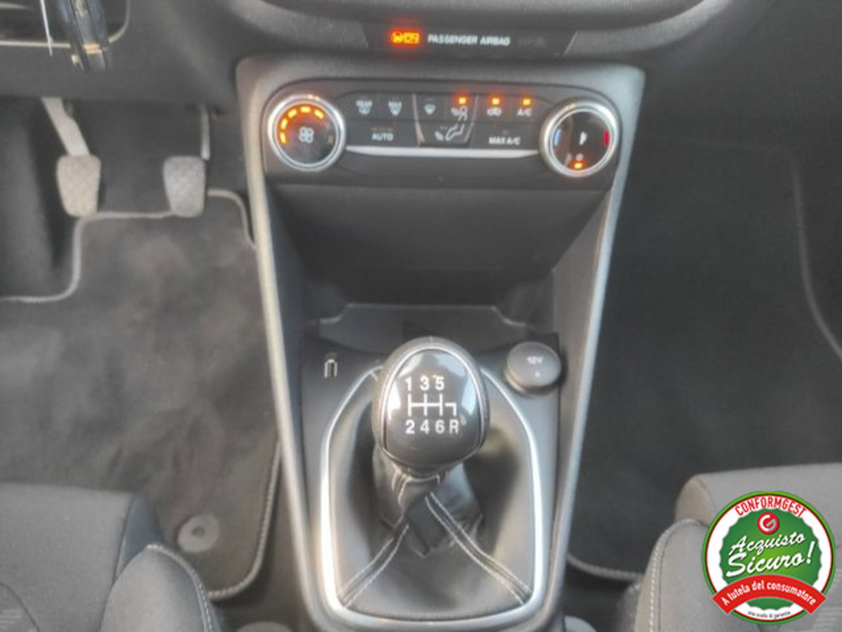Ford Fiesta 1.0 Ecoboost Hybrid 125 CV 5 porte Titanium (15)