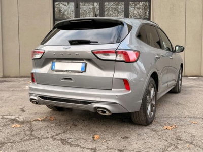 Ford Kuga 1.5 EcoBlue 120 CV 2WD ST-Line (7)