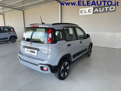 Fiat Panda Cross 1.0 firefly hybrid Cross s&s 70cv 5p.ti (6)