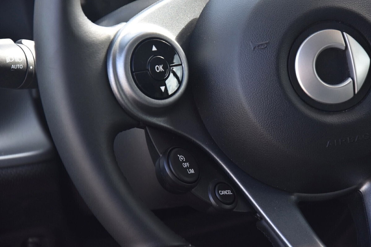 smart Fortwo EQ Passion Nightsky (17)