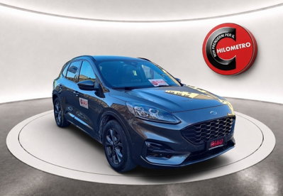 Ford Kuga 1.5 EcoBlue 120 CV 2WD ST-Line usata