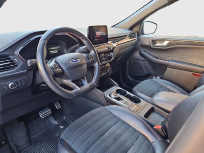 Ford Kuga 1.5 EcoBlue 120 CV 2WD ST-Line (14)