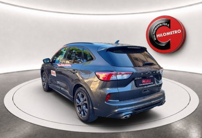 Ford Kuga 1.5 EcoBlue 120 CV 2WD ST-Line (7)