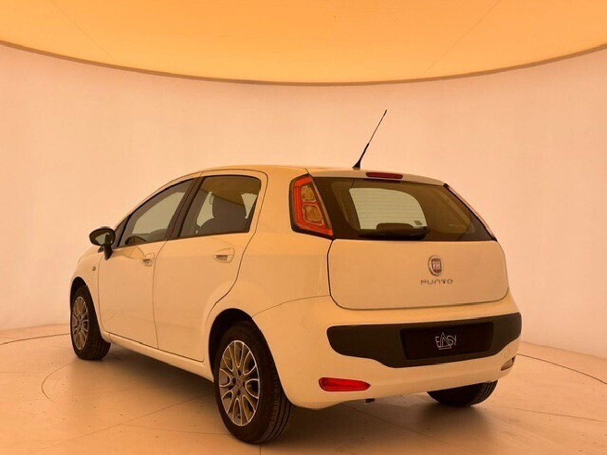 Fiat Punto Evo 1.2 5 porte S&S Active (6)