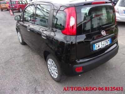 Fiat Panda 1.0 firefly hybrid s&s 70cv 5p.ti (10)