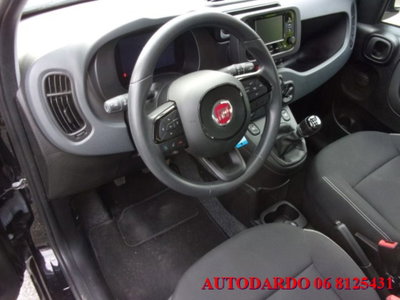 Fiat Panda 1.0 firefly hybrid s&s 70cv 5p.ti (14)