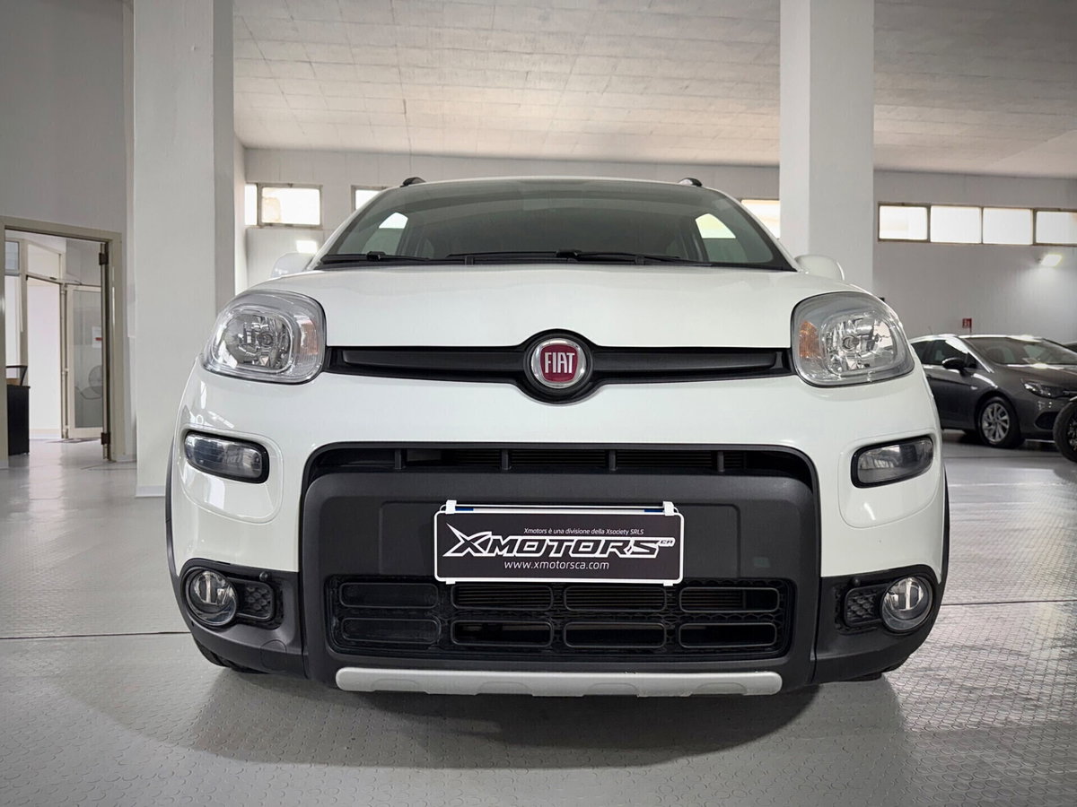 Fiat Panda 1.0 FireFly S&S Hybrid City Life (2)