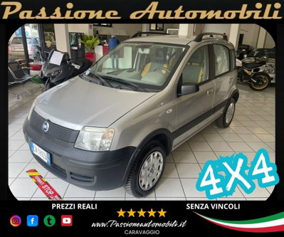 Fiat Panda 1.2 4x4 usata