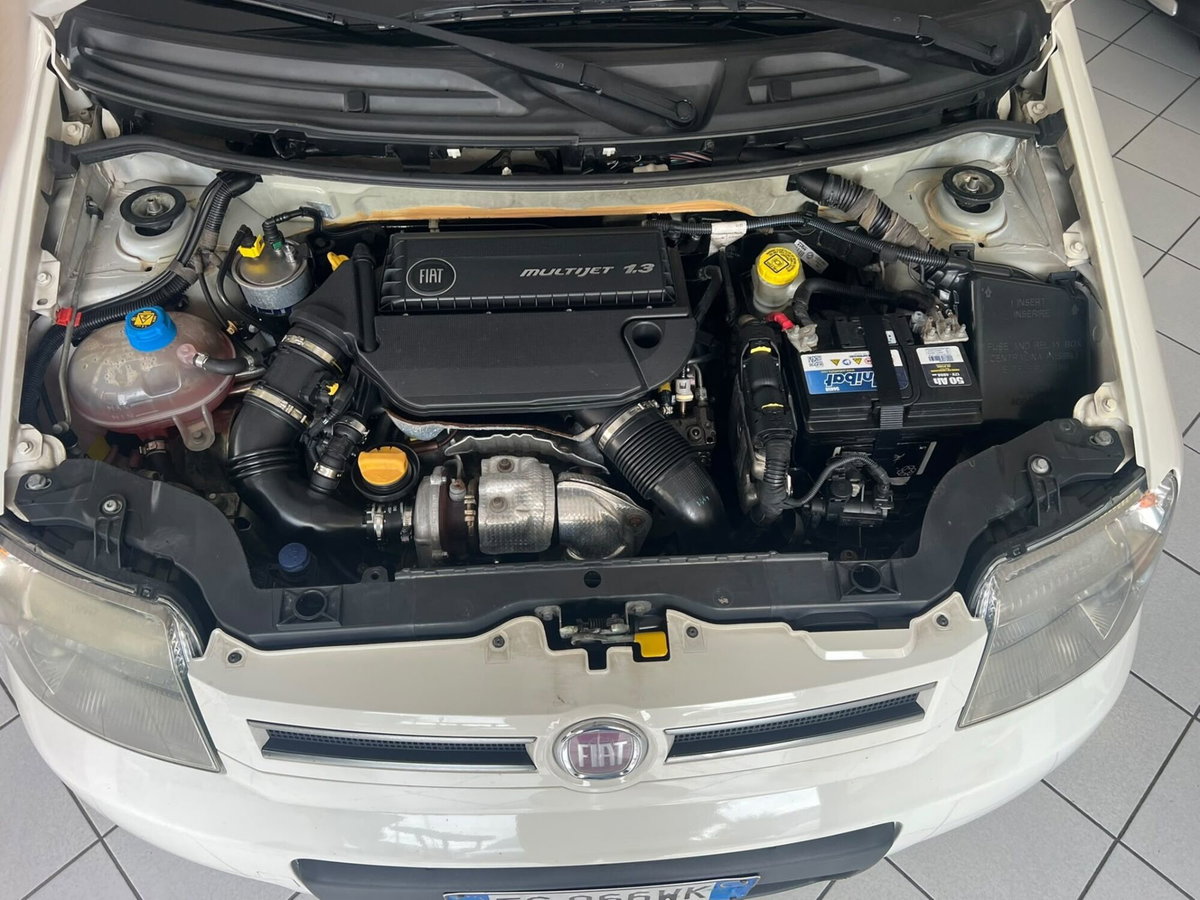 Fiat Panda 1.3 MJT 16V DPF 4x4 Climbing (10)