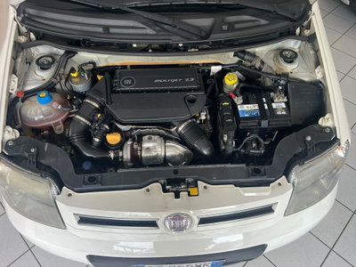 Fiat Panda 1.3 MJT 16V DPF 4x4 Climbing (10)