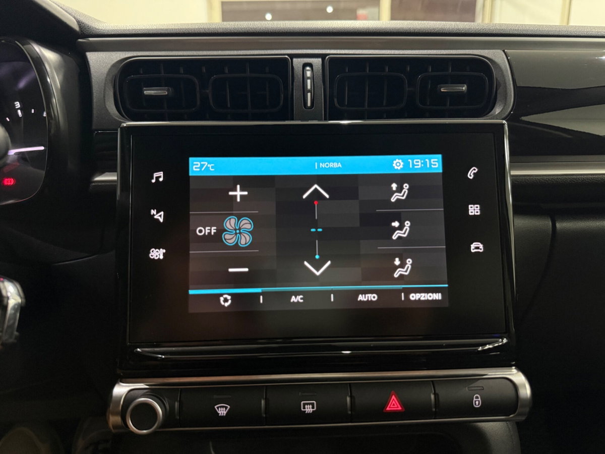 Citroen C3 BlueHDi 100 S&S Shine Pack (15)