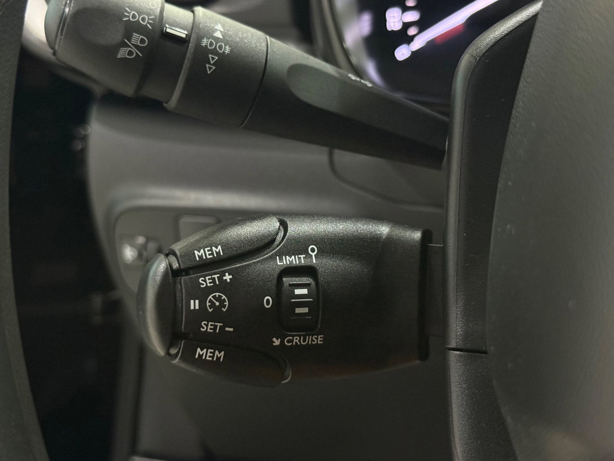 Citroen C3 BlueHDi 100 S&S Shine Pack (18)