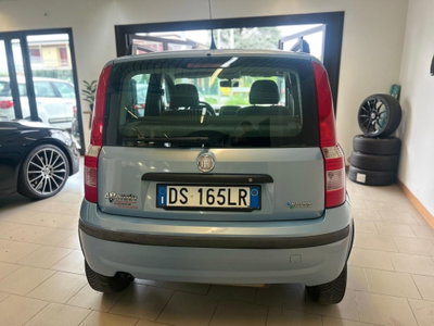 Fiat Panda 1.2 Dynamic Natural Power Mamy (5)