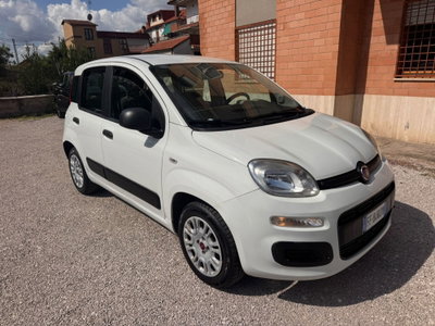 Fiat Panda 1.2 Easy usata