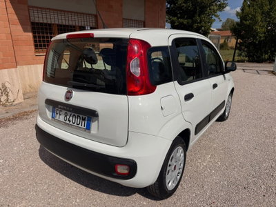 Fiat Panda 1.2 Easy (3)