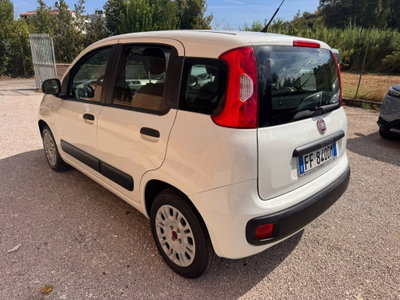 Fiat Panda 1.2 Easy (4)