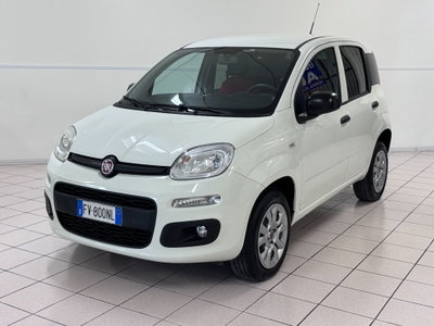 Fiat Panda 0.9 TwinAir Turbo Natural Power Easy usata