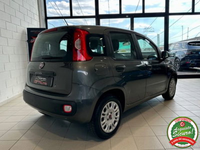 Fiat Panda 1.2 Pop (4)