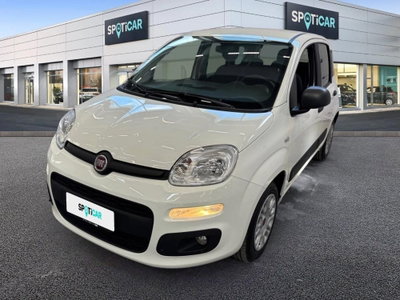 Fiat Panda 1.2 Easy usata
