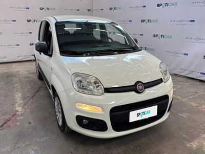 Fiat Panda 1.2 Easy (2)