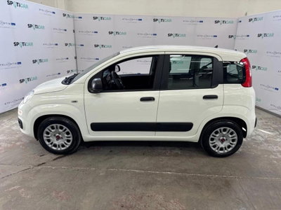 Fiat Panda 1.2 Easy (3)