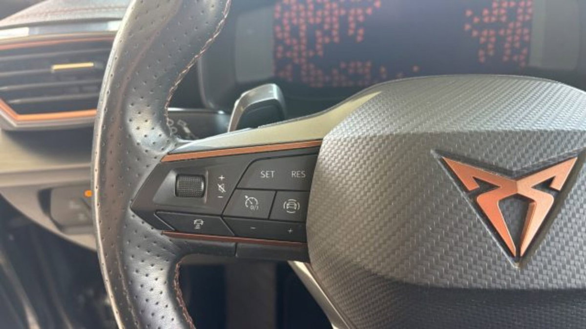 Cupra Formentor Formentor 2.0 tdi 4drive 150cv dsg (16)