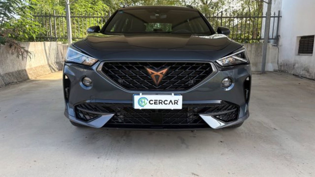 Cupra Formentor Formentor 2.0 tdi 4drive 150cv dsg (2)