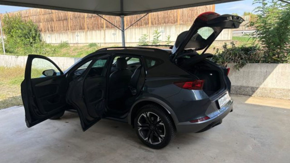 Cupra Formentor Formentor 2.0 tdi 4drive 150cv dsg (20)
