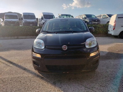 Fiat Pandina 1.0 firefly hybrid Icon s&s 65cv (2)