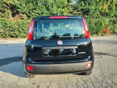 Fiat Pandina 1.0 firefly hybrid Icon s&s 65cv (7)
