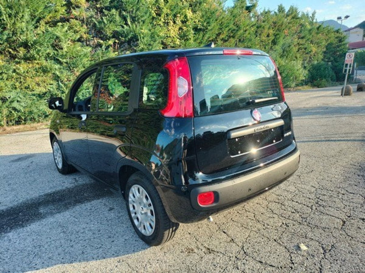 Fiat Pandina 1.0 firefly hybrid Icon s&s 65cv (8)