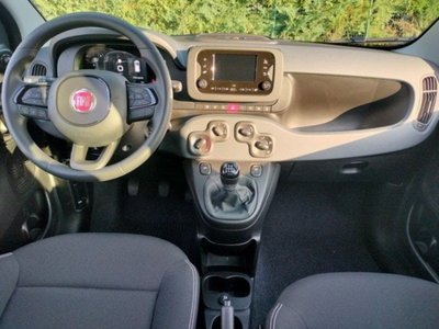 Fiat Pandina 1.0 firefly hybrid Icon s&s 65cv (12)