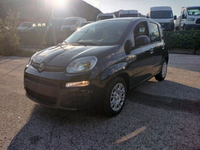 Fiat Pandina 1.0 firefly hybrid Icon s&s 65cv (3)