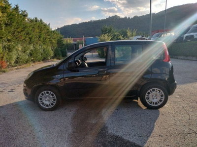 Fiat Pandina 1.0 firefly hybrid Icon s&s 65cv (5)