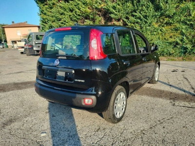 Fiat Pandina 1.0 firefly hybrid Icon s&s 65cv (6)
