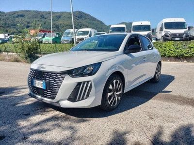 Peugeot 208 1.2 turbo Business 100cv (3)