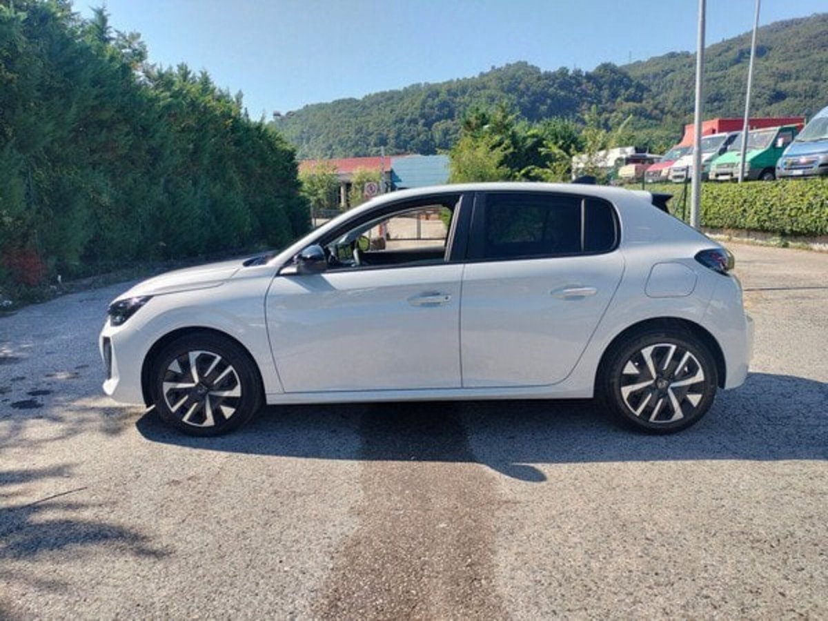 Peugeot 208 1.2 turbo Business 100cv (5)