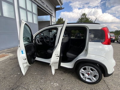 Fiat Panda 1.0 FireFly S&S Hybrid City Cross (12)