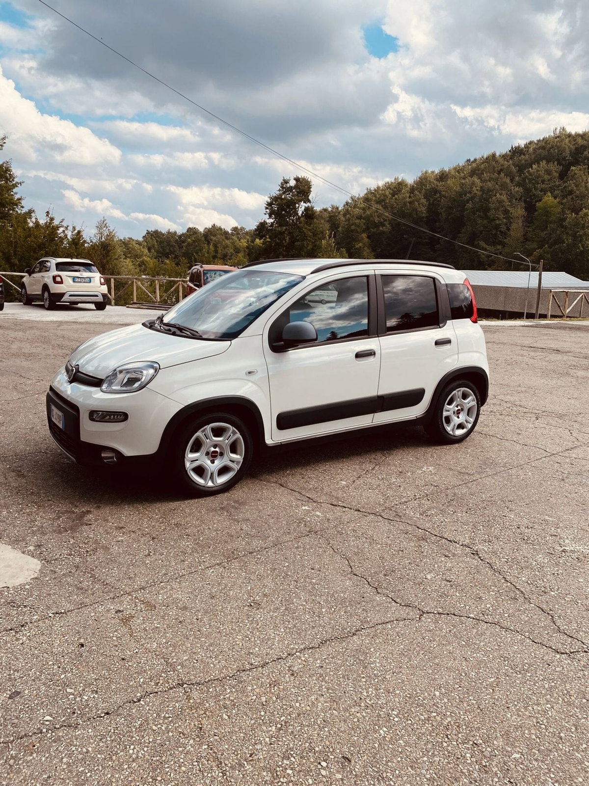 Fiat Panda 1.0 FireFly S&S Hybrid City Cross (2)