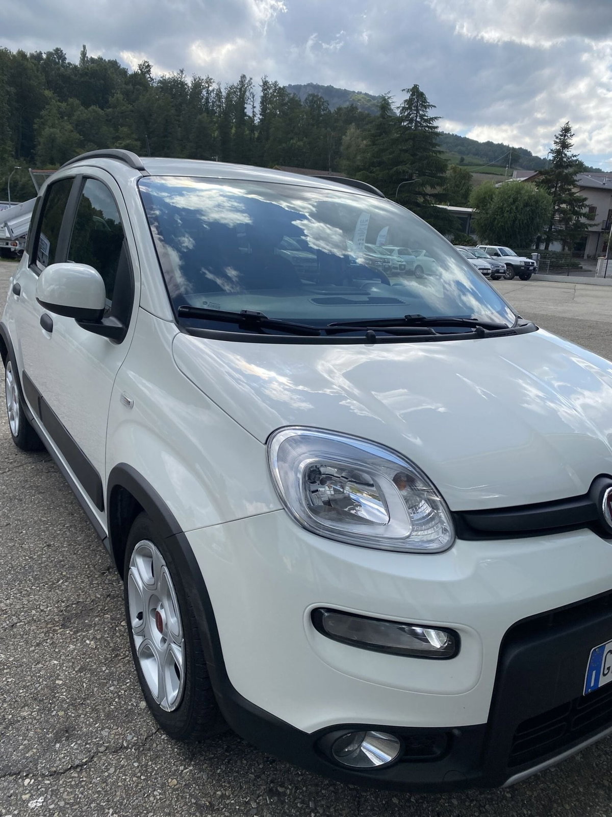 Fiat Panda 1.0 FireFly S&S Hybrid City Cross (6)