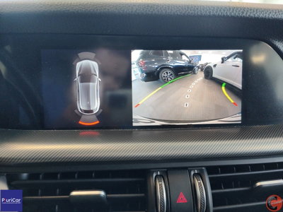 Alfa Romeo Stelvio Stelvio 2.2 Turbodiesel 160 CV AT8 RWD Business (12)