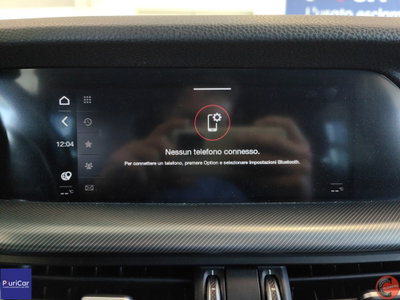 Alfa Romeo Stelvio Stelvio 2.2 Turbodiesel 160 CV AT8 RWD Business (13)