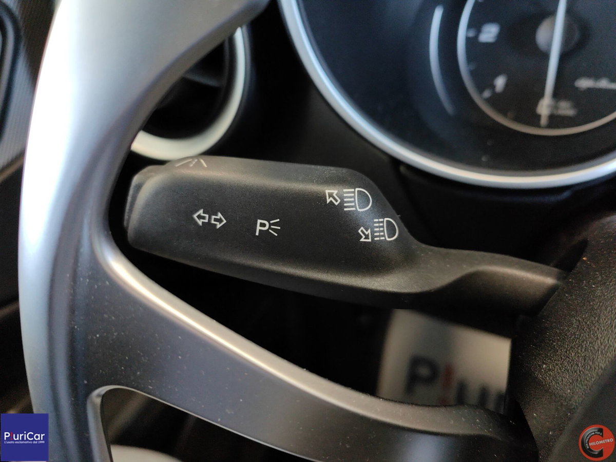 Alfa Romeo Stelvio Stelvio 2.2 Turbodiesel 160 CV AT8 RWD Business (19)