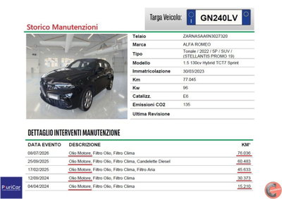 Alfa Romeo Tonale 1.5 hybrid Sprint 130cv tct7 (15)