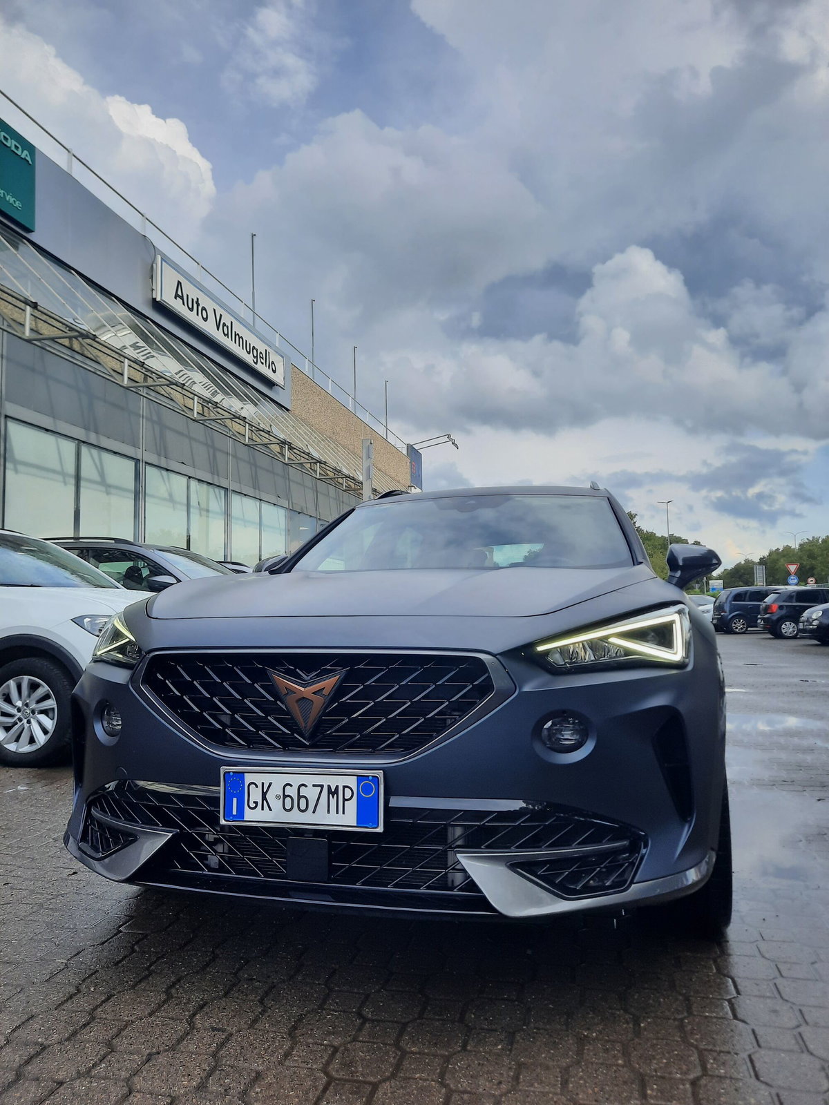 Cupra Formentor Formentor 2.0 tsi 4drive 190cv dsg (3)