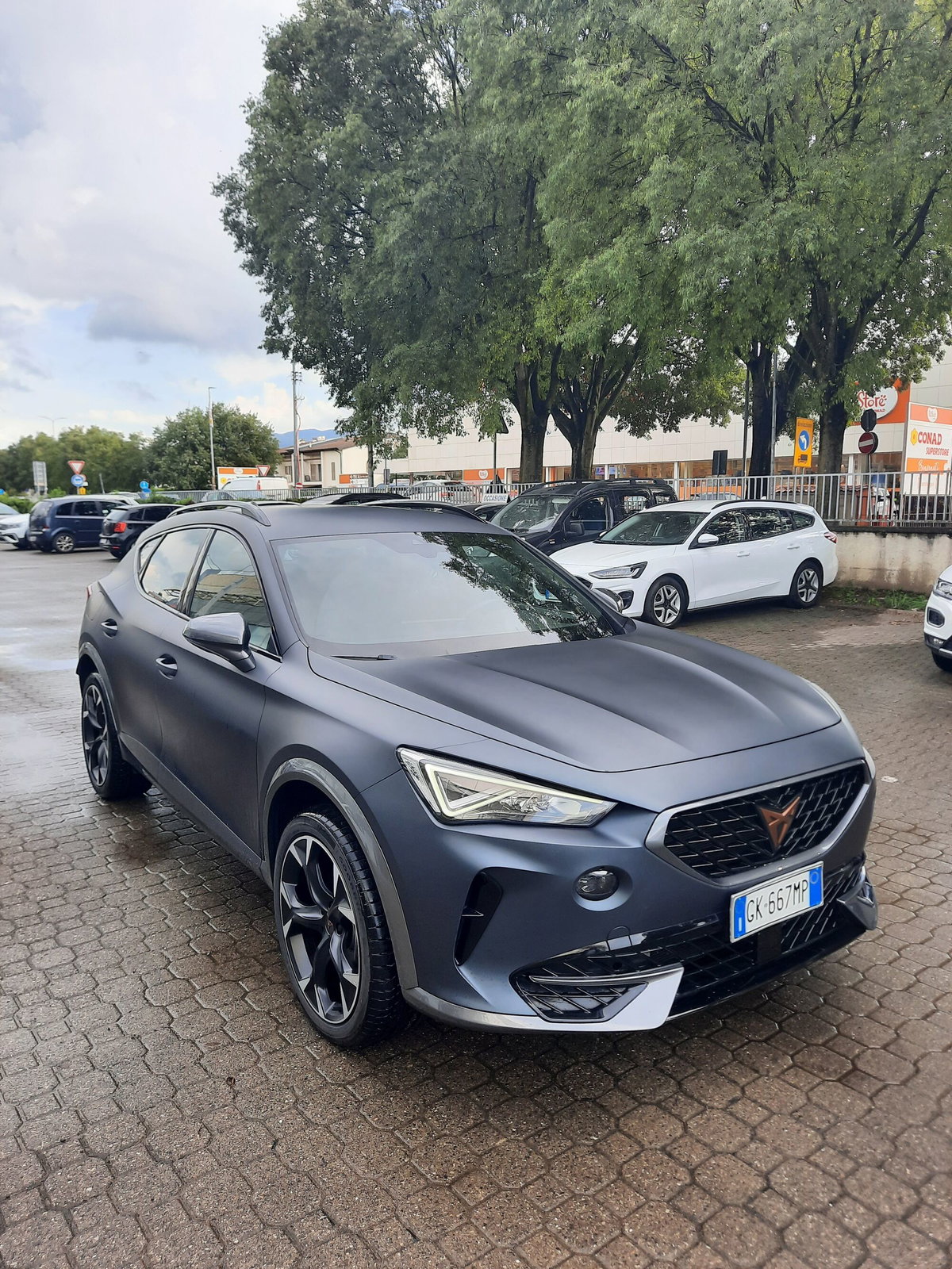 Cupra Formentor Formentor 2.0 tsi 4drive 190cv dsg (4)