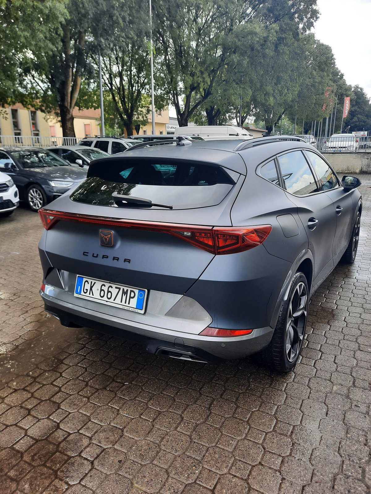 Cupra Formentor Formentor 2.0 tsi 4drive 190cv dsg (5)