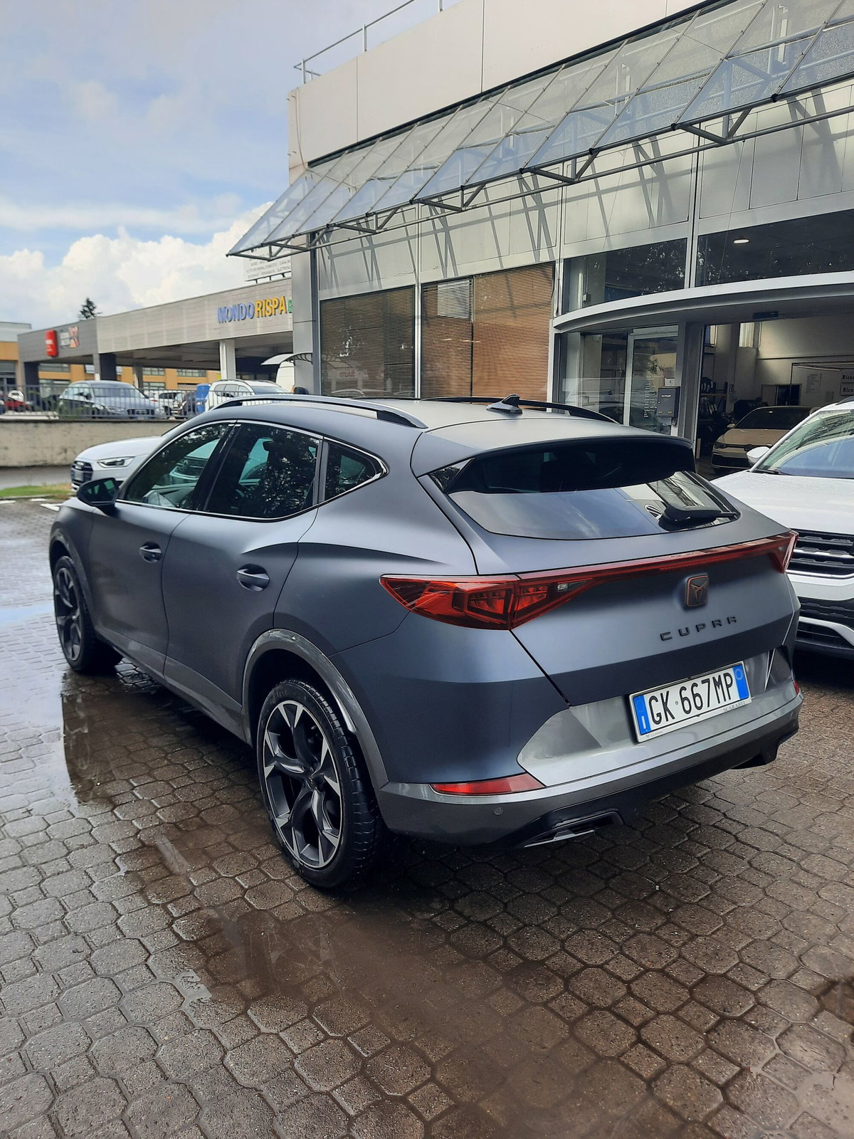 Cupra Formentor Formentor 2.0 tsi 4drive 190cv dsg (7)