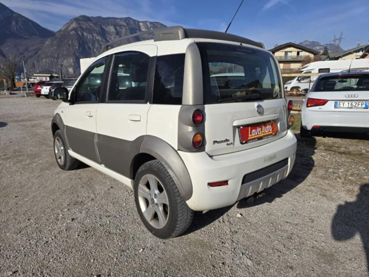 Fiat Panda 1.3 MJT 16V DPF 4x4 Cross (4)