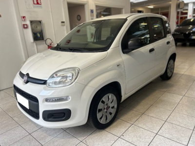 Fiat Panda 1.2 Easy usata